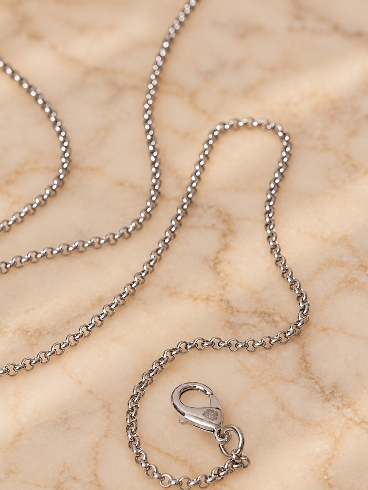 Sleek Silver (Crossbody Chain)
