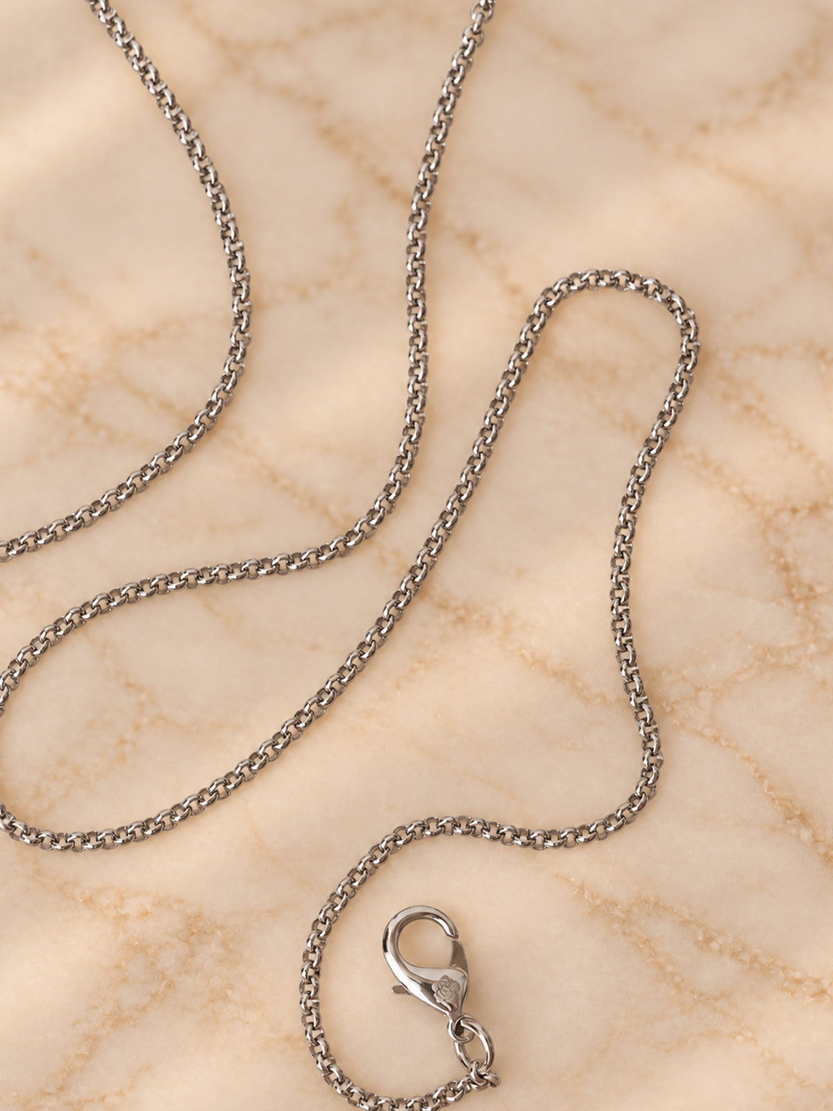 Sleek Silver (Crossbody Chain)