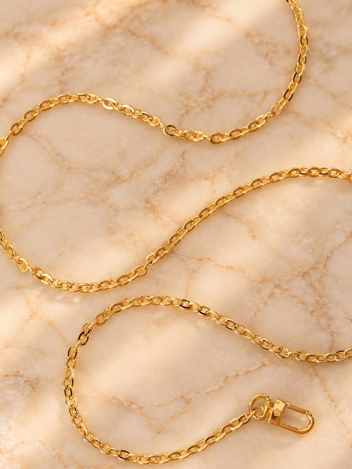 Linked (Crossbody Chain)